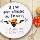 Counted cross stitch pattern - If I’ve ever offended you I’m sorry