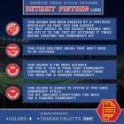 Detroit Pistons Logo Counted Cross Stitch Pattern – Download in PDF 4 Counted Cross Stitch Instructions - Detroit Pistons Symbol Project