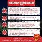 How to Cross Stitch the Nebraska Cornhuskers Symbol - Guide for Beginners