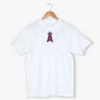 Detail view of Los Angeles Angels logo counted cross stitch pattern